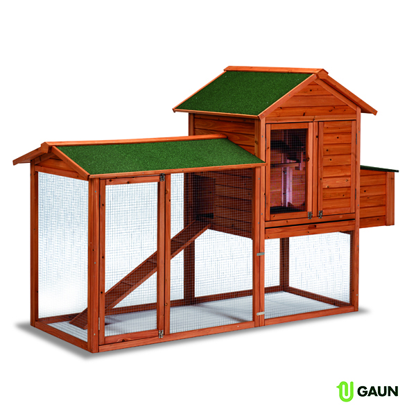 CHICKEN HOUSE MODEL DUBLIN