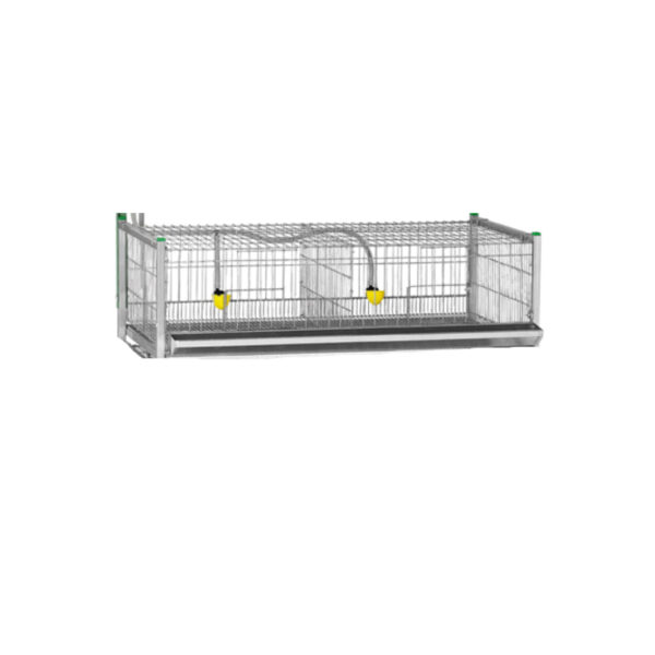SHOW CAGE 1 FLOOR EXTENSION CAGE