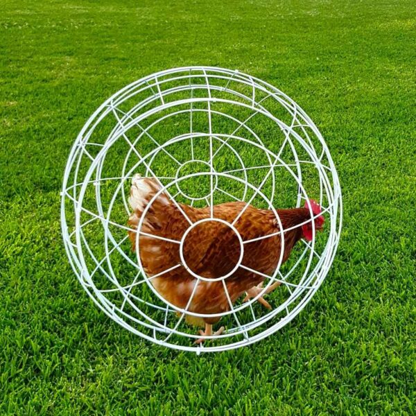 CHICKEN SPHERE