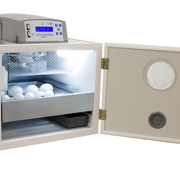 INCUBATOR FOR PARROTS, BIRDS OF PREY – 30-50 EGGS DIGITAL AUTOMATIC