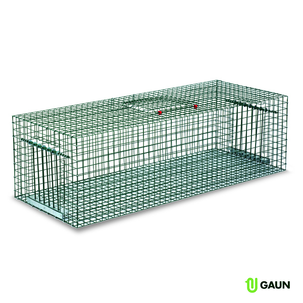 CAGE TRAP FOR PIGEONS & OTHERS BIRDS