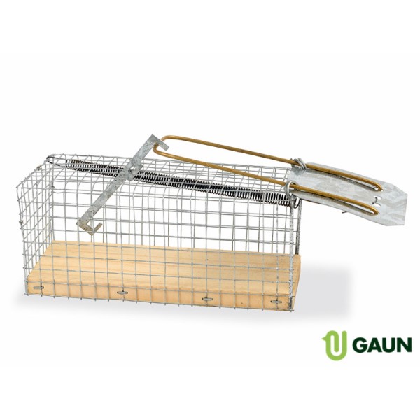 CAGE PIÈGE À SOURIS MOYENNE