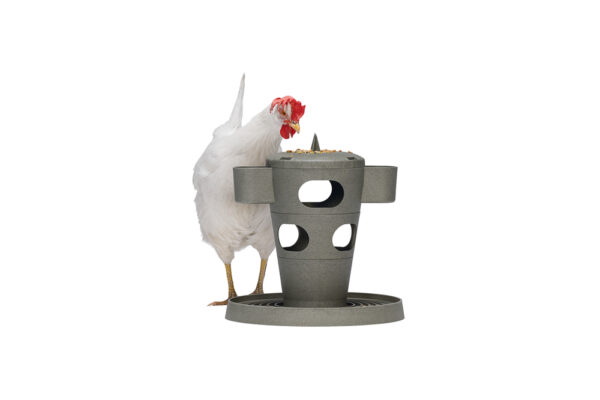 TORRE SNACKS / COMIDA PARA GALLINAS